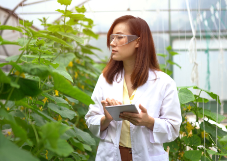 Urban_Solutions_Sustainability_FS